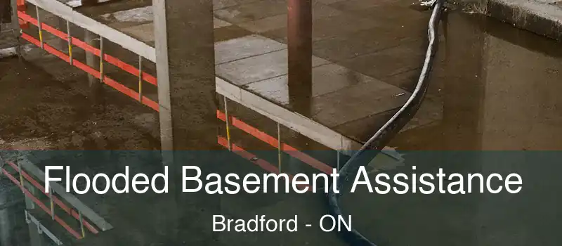  Flooded Basement Assistance Bradford - ON