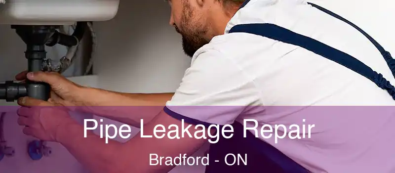 Pipe Leakage Repair Bradford - ON